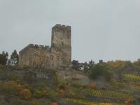 Fahrt auf der Mosel