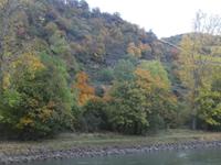 Fahrt auf der Mosel