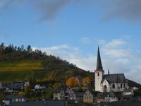 Fahrt auf der Mosel