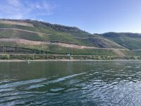 Weinberge