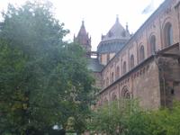 Worms Dom
