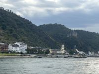 am Rhein