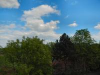 Blick aus dem Hotel. Viel Grün.