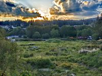 Am Morgen in den Karpaten, Predeal