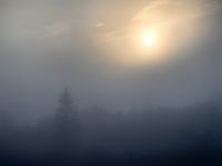 Morgendliche Stimmung nach Starkregen in Predeal