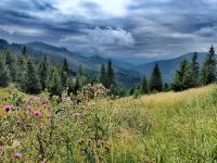 Schöne Landschaft in Transsilvanien