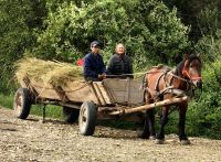 Auf dem Weg zum Kloster treffen wir eine Pferdekutsche