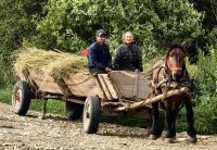 Extra für uns halten sie an, daß wir ein Foto machen können