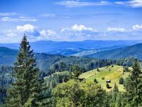 Liebliche Landschaft der Bukovina
