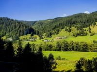 Karpatenlandschaft im Norden Rumäniens