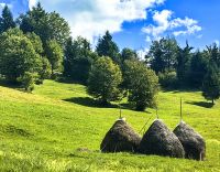 Die Heuharfen sind in Rumänien weit verbreitet