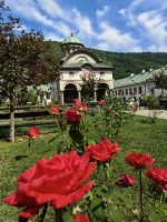 Rosengarten im Kloster Cozia