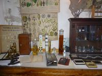 Sighisoara (Schässburg)