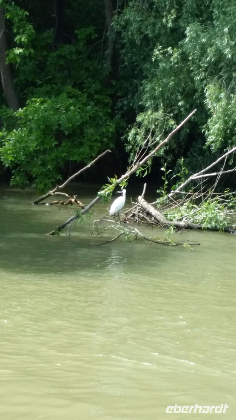 Bootsfahrt durch das Donaudelta