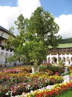 Nonnenkloster Agapia