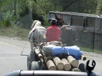 traditionelles Gespann auf dem Weg nach Targoviste