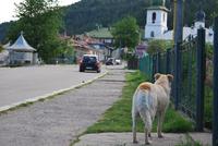 Kloster in Rumänien - Agapia