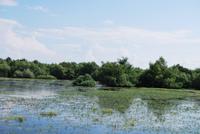 Tulcea - Walachei - Donau-Delta