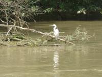 unterwegs im Donau-Delta