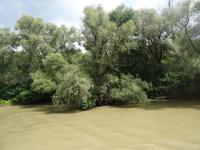 unterwegs im Donau-Delta