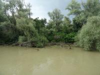 unterwegs im Donau-Delta