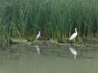 unterwegs im Donau-Delta