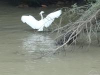 unterwegs im Donau-Delta