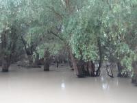 unterwegs im Donau-Delta