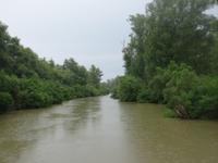 unterwegs im Donau-Delta