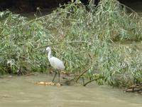 unterwegs im Donau-Delta