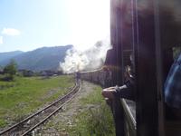 Die Waldbahn dampft durch die Karpaten