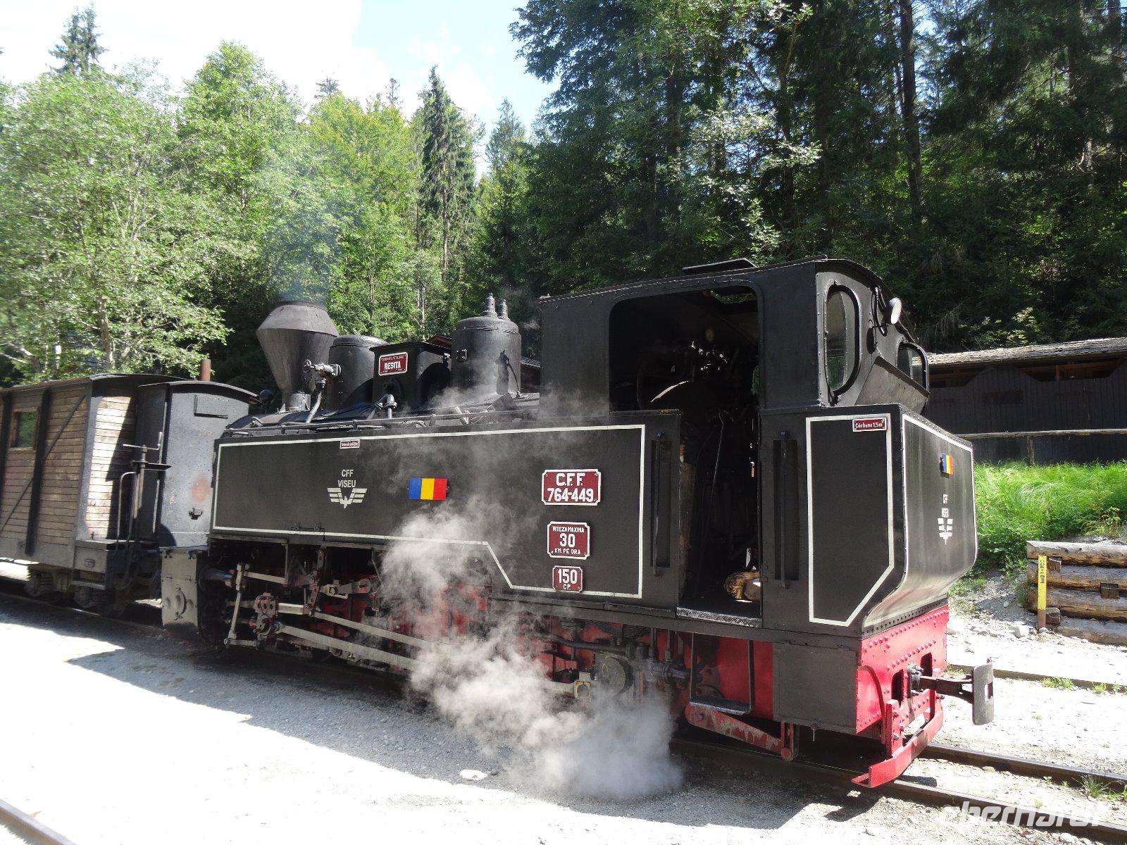 Lokomotive der Waldbahn