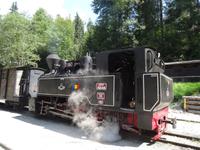 Lokomotive der Waldbahn