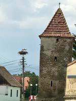 Christian: Im Dorf der Störche