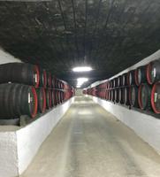 Cricova: In den Weinkellern