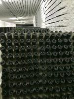 Cricova: Sektherstellung