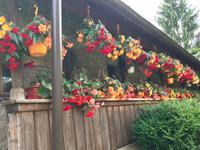 Moldovita: Moldaukloster