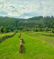 Fahrt durch die Moldau