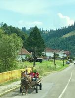 Fahrt durch die Moldau