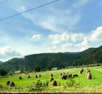 Fahrt durch die Bukowina