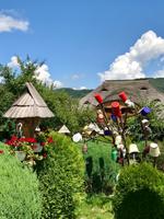 Marmarosch: Der Topfbaum