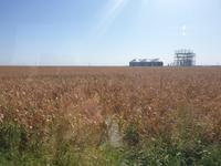 Die Kornkammer Europas in der Walachei