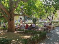 Sibiu - Rentnerleben 