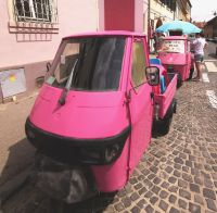 Lustige Ape in Sibiu