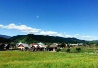 Hügellandschaft der Bukovina mit Bauernhöfen davor