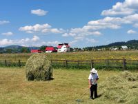 Typische Landschaft in Rumänien