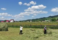 Die Bauern schaufeln Heu zum Trocknen, alles noch Handarbeit hier, Bukovina