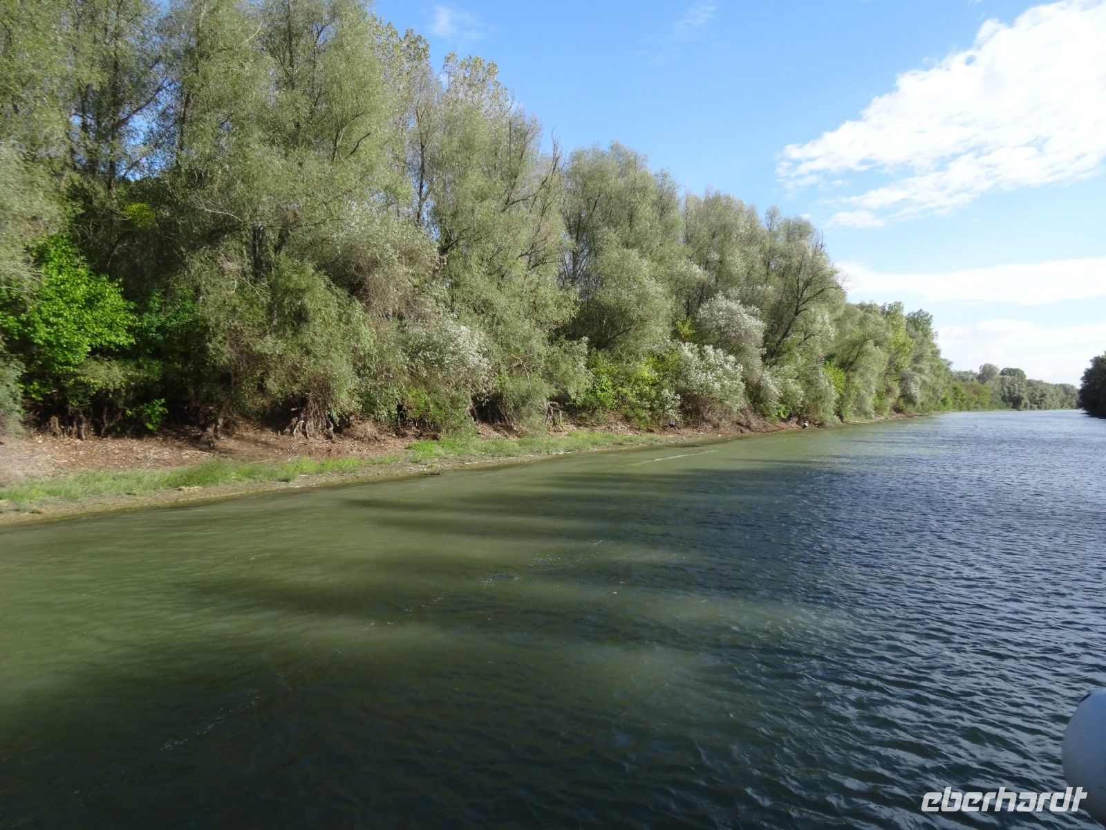 Dichte Wälder säumen die Ufer der Donauarme
