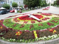 Targu Mures, Blumenuhr