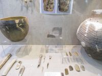 Tulcea, Museum für Geschichte und Archäologie